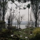 들꽃이야기 이미지