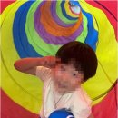 투혼경희대태권도장