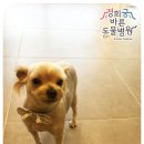 경희궁바른동물병원 이미지