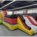 기품있는 태권도장 이미지