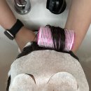 영플러스 | [부천/상동] 아이엘헤어 부천상동점 _ 수디자이너님 레이어드컷/볼륨매직 추천 후기