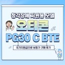 복음보청기 부천점 | [부천보청기/영등포보청기] <청각장애지원용 모델> 오티콘 PG30 C BTE 국가지원금 받아 구매 후기