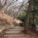 동수영중 앞 이미지