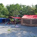 미르오토 이미지