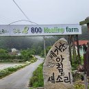 태기산농원