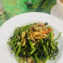 로터스팜 이미지