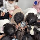 새서울태권도 | 서울시 강동구 주말 태권도 마술공연 진행 후기!