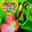 엄마의 행복 이미지