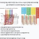 미미 에스테라피 | 강남 태닝 <브론즈가든 선릉점> 헬리오스 화이트태닝 효과 후기