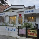 돌봐줄개 | 대구 남구 대명동 고양이카페 오묘 방문 후기