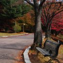 양평-용문-용문-1 이미지