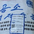 청정젓갈