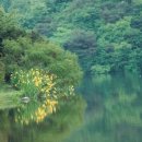 봄을 그리며 이미지