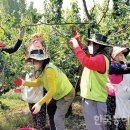 주완농장 이미지