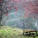 나를 위한 힐링 도자기 만들기 이미지