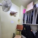 미라바이올린학원 이미지