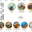 건강마을 네이버블로그