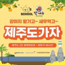 댕스라지 이미지