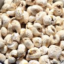 푸른식품마트 이미지