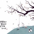 봄애뷰티