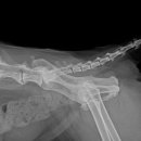 방학동물병원 이미지