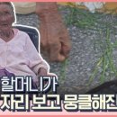 노점 채소