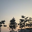 이호텔 | 울산 가족여행 숙소 추천, 타니베이호텔 코너스위트B 내돈내산 후기