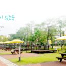 속초해변 국민여가 캠핑장 네이버블로그