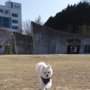 THE반하개 네이버블로그