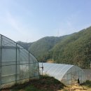한농연농자재할인마트 네이버블로그