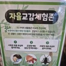 거북파크 | [동탄아이랑가볼만한곳] 13개월 아기랑 아르티스테마파크 후기 (18개월 미만 무료)