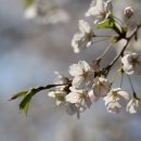 윗말어린이공원 이미지