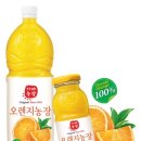 오렌지 농장 이미지