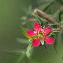 상동호수공원 이미지