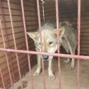 마성자동차공업사 이미지