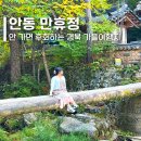 서부면 원중리마을회관 | 안동 만휴정 스냅샷 찍기좋은 경북 가을 여행 가볼만한곳 추천 +주차 포토존 입장료