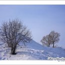 대관령가는길 이미지