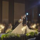 히든베이호텔] 전문 사회자 섭외하여 결혼식 진행한 후기(CMS웨딩컴퍼니/결혼식 사회자 전문 업체, 추천)