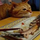 습관 퍼스널 트레이닝 이미지