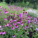 만평농장 이미지