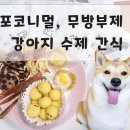 포코니멀 | 강아지수제간식 포코니멀 솔직후기,