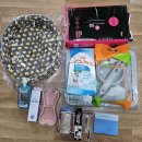 대구강아지분양 원펫 | 애견분양 대구 중구 봉산동 대구강아지분양 원펫 위치 가격 후기