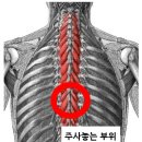 경대종로의원 네이버블로그