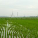 정리의 달인 이미지