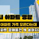 [부동산이야기] 세종시 아파트 명암... 아파트 가격 오른다는데 경매물건은 왜 쏟아지지? [영상] 이미지