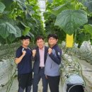 엘케이팜 이미지