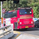 김밥천국(행주동소재) | 김천하면 '김밥천국' MZ 열풍 김밥축제 다녀오다 : 2025.10.26.(일)
