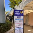 미소지움치과의원 | 가톨릭대학교 서울성모병원 평생건강증진센터 | 기본형(비수면, 72만원~) 후기 | 미소지움치과 스케일링