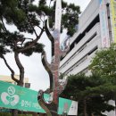 송파구청(칠지도옆) 이미지