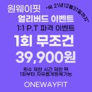 원웨이핏 이미지